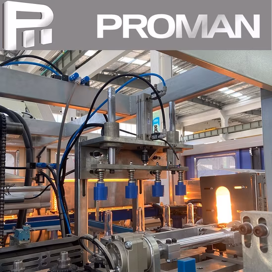 Machine de moulage par soufflage de bouteilles PET de 1000 ml